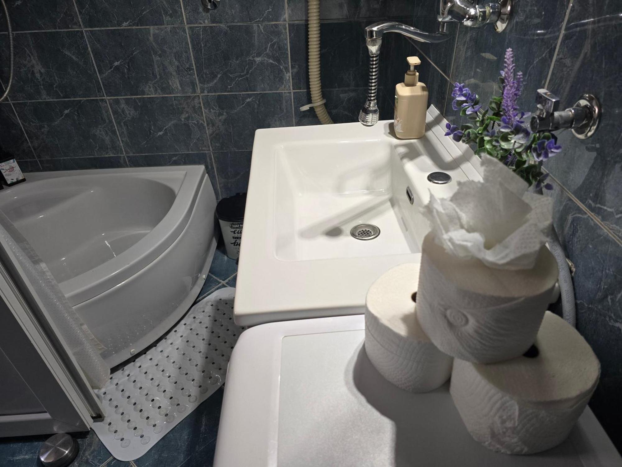 Angelina Apartmani. Belgrado Esterno foto